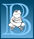 Big Blue Bullfrog Blog