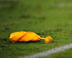 Penalty Flag